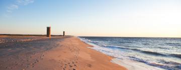 Ξενοδοχεία κοντά σε Rehoboth Beach