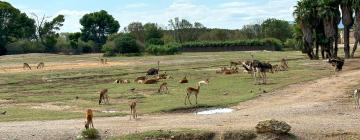 Hotel dekat Reserve Africaine de Sigean