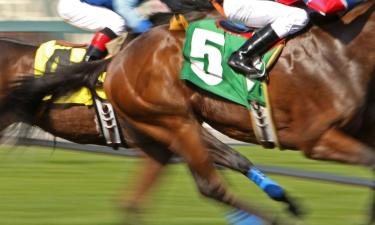 Mga hotel malapit sa Kentucky Derby