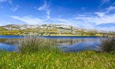 Hotelek az Asinara Nemzeti Park közelében