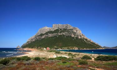 Hotéis perto de Ilha de Tavolara