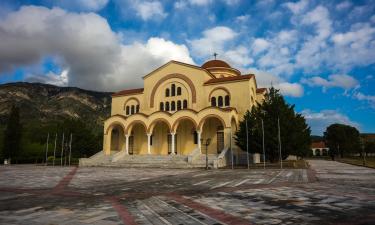 Hoteluri aproape de Monastery of Agios Gerasimos