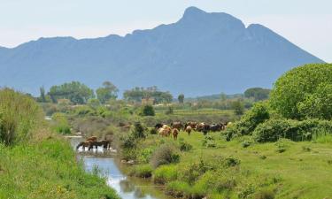 National Park of Circeo के पास वाले होटल