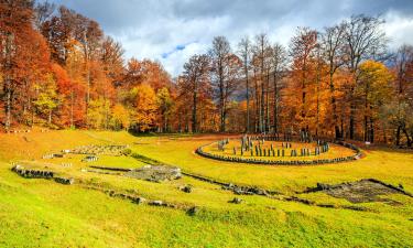 Sarmizegetusa Regia yakınındaki oteller