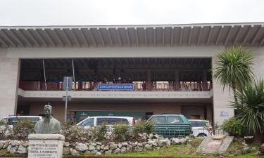 環維蘇威火車站（Sorrento Circumvesuviana Train Station）附近的飯店