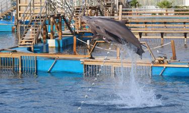 Ξενοδοχεία κοντά σε uShaka Marine World