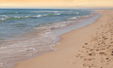 Hotelek a Comporta-part közelében