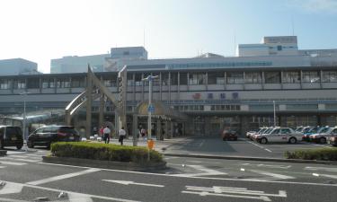 Hotels in de buurt van station Hamamatsu