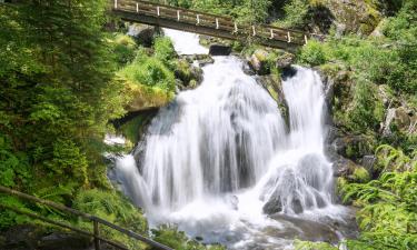 Hoteluri aproape de Cascada Triberg