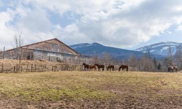 Хотели близо до Western City