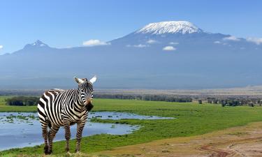 Mga hotel malapit sa Kilimanjaro National Park