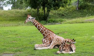 Hôtels près de : Zoo Dvůr Králové nad Labem