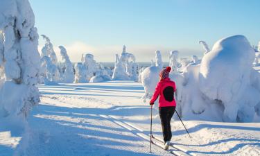 Monts Valin National Park: готелі поблизу