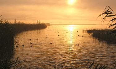 Hoteller nær Delta de l'Ebre naturpark