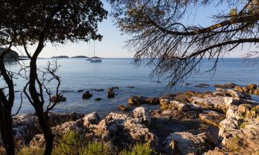 Hôtels près de : Parc Punta Corrente