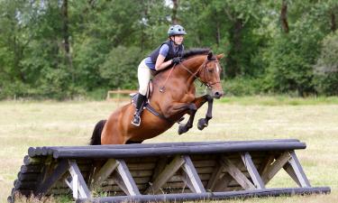 Hotele w pobliżu miejsca Miejsce zawodów Badminton Horse Trials