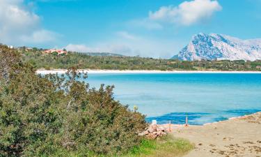 Cala Brandinchi Beach के पास वाले होटल