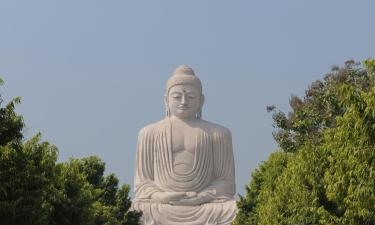 Hotelek Great Buddha Statue közelében