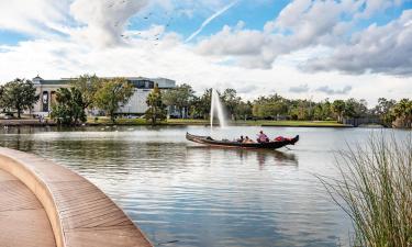 City Park: Hotels in der Nähe