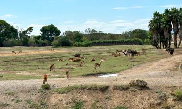 Hotel dekat Reserve Africaine de Sigean