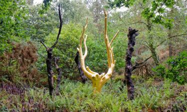 Brocéliande miškas: viešbučiai netoliese