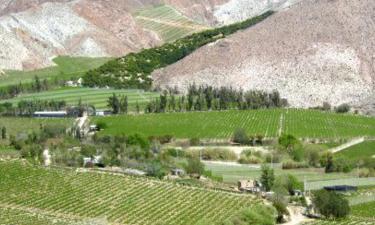 Hoteli u blizini znamenitosti Valle del Elqui