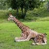 Hoteles cerca de Zoológico de Dvůr Králové