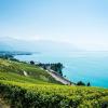 Hoteli u blizini znamenitosti Lavaux Vineyard Terraces