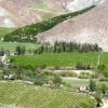 Hôtels près de : Vallée de l'Elqui