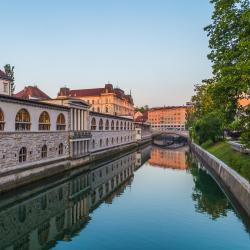 Ljubljana Central Market