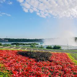 Parc d'État de Niagara Falls