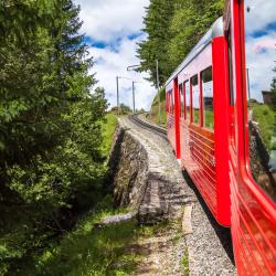 Montenvers - Mer de Glace Train Station