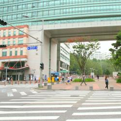 Hongik University