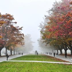 University of British Columbia