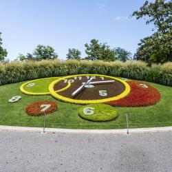 Flower Clock