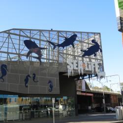 Acquario SEA LIFE di Melbourne