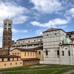 盧卡大教堂（Lucca Cathedral）