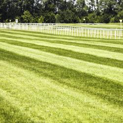 Chester Racecourse