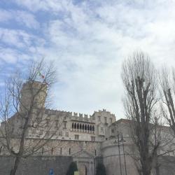 Buonconsiglio Castle