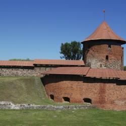 Castello di Kaunas