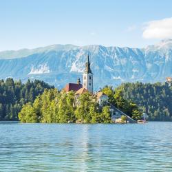 Bled sala