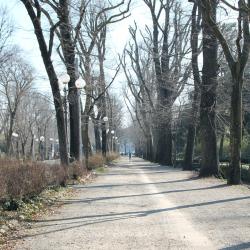 Parco delle Cascine