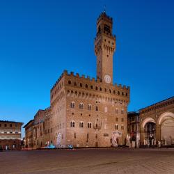 Piazza della Signoria -aukio