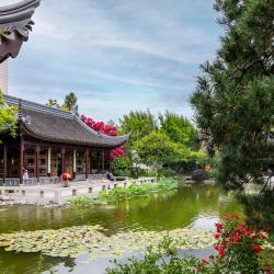 Portland Classical Chinese Garden