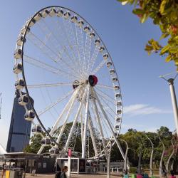 Wheel of Brisbane