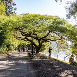 City Botanic Gardens