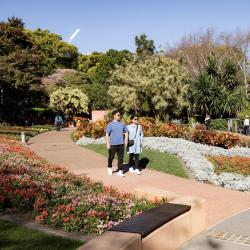 Roma Street Parkland