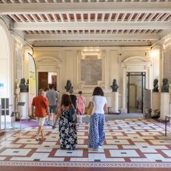 Montpellier Anatomy Museum