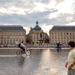 The Water Mirror