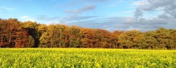 Hotéis em Flemish Brabant